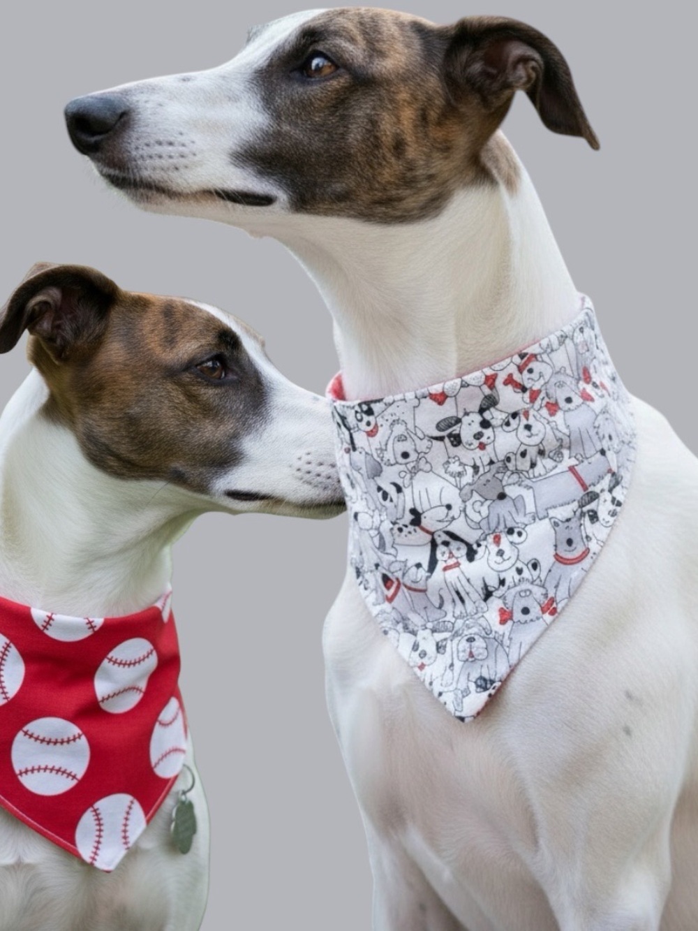 Handmade Reversible Tie-On Dog Bandana